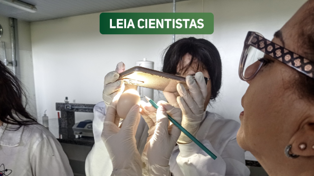 Cientistas analisam ovo iluminado com lanterna