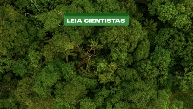 Produtos da bioeconomia são um dos segredos da floresta para o enfrentamento à crise do clima, como a produção de açaí, que obteve renda bruta estimada em R$ 1 bilhão em 2024 na economia brasileira, segundo o IBGE (Imagem: Freepik)