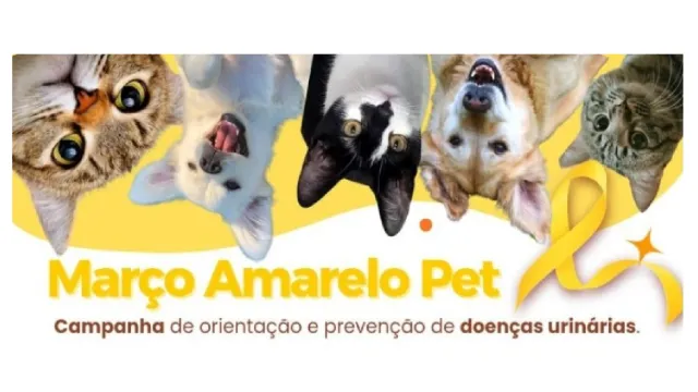 Imagem de cachorros e gatos e mensagem Março Amarelo