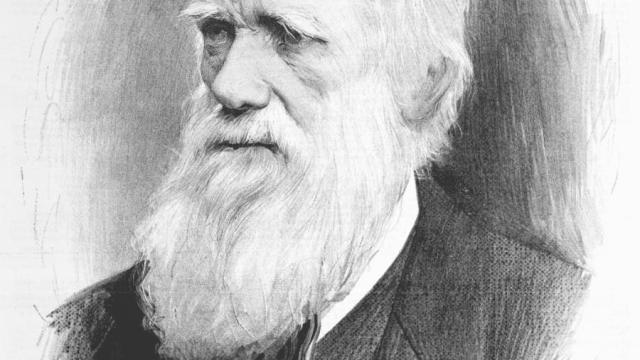 Charles Darwin, pai da Teoria da Evolução