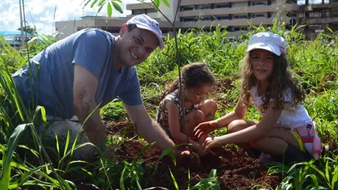 Foram plantadas cerca de 180 mudas doadas (foto: divulgação)