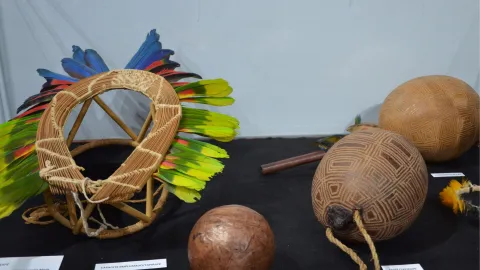 Artefatos do Museu do Índio (Foto: Milton Santos)