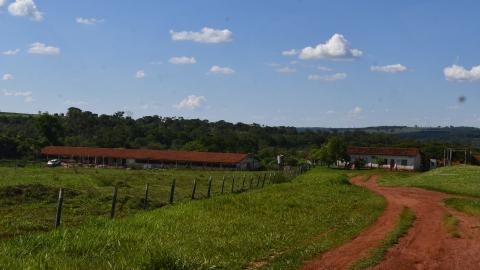 Fazenda Capim Branco (Milton Santos)