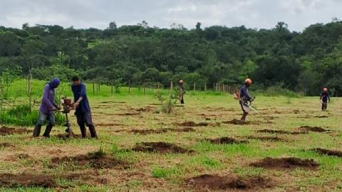 Execução de projeto na Fazenda Capim Branco