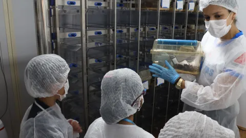 Visita das crianças