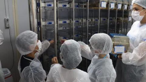 Visita das crianças