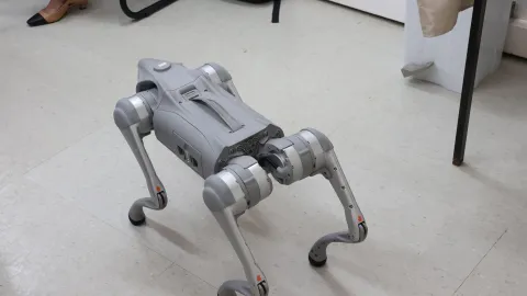 Reunião de boas-vindas