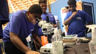 O Brincando e Aprendendo é aberto à população em geral (foto: Marco Cavalcanti)