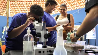 O Brincando e Aprendendo é aberto à população em geral (foto: Marco Cavalcanti)