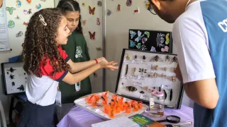 Ciência Viva 2025 (foto: Giovana Rodrigues)